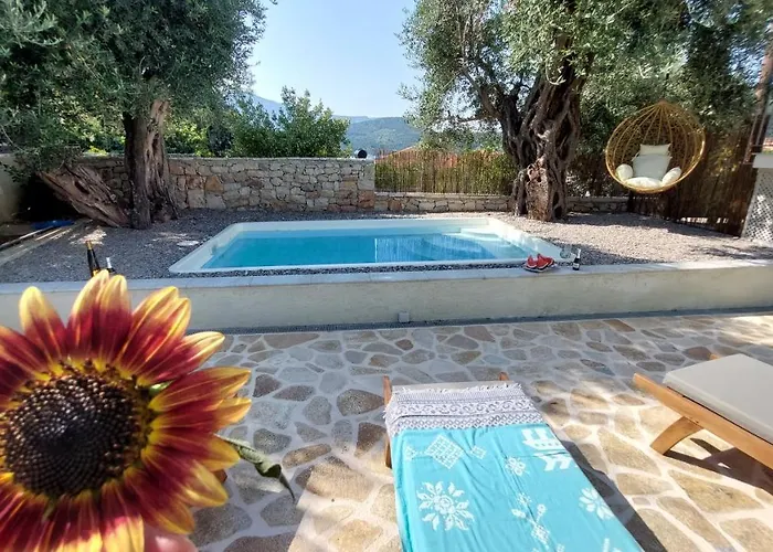 Dom wakacyjny Nios Luxury House & Vathy (Ithaca)