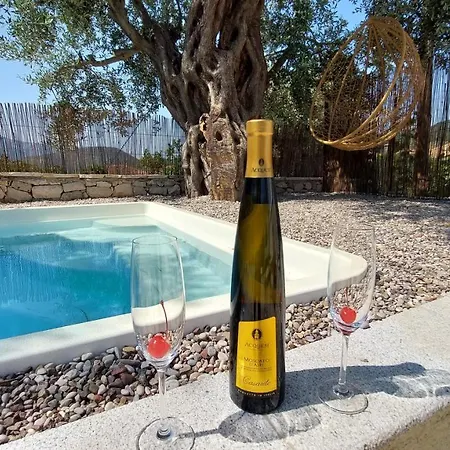 Nios Luxury House & * 瓦西