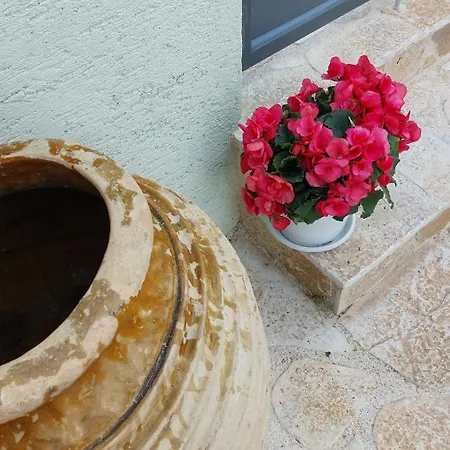 Nios Luxury House & 度假居 *