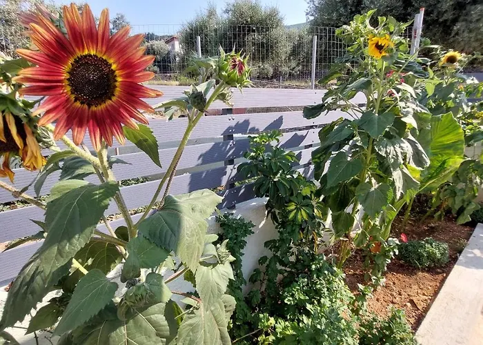 Semesterbostad Nios Luxury House & Vathy (Ithaca)